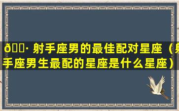 🌷 射手座男的最佳配对星座（射手座男生最配的星座是什么星座）